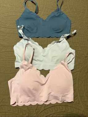 Danskin Scalloped Seamless Bralette Trio - Blue, White, Pink